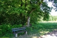20200542_taben_rundwanderweg5_400er-117