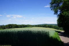 20200542_taben_rundwanderweg5_400er-124