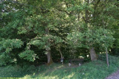 20200542_taben_rundwanderweg5_400er-128