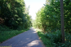 20200542_taben_rundwanderweg5_400er-129