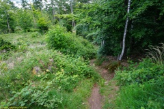 20200542_taben_rundwanderweg5_400er-134