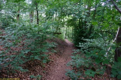 20200542_taben_rundwanderweg5_400er-135