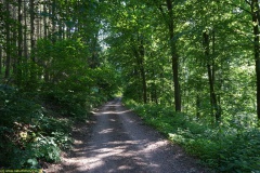 20200542_taben_rundwanderweg5_400er-73