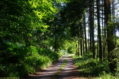 20200542_taben_rundwanderweg5_400er-74