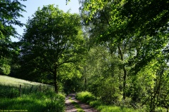 20200542_taben_rundwanderweg5_400er-76