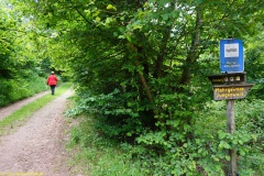 20200542_taben_rundwanderweg5_400er-77