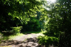 20200542_taben_rundwanderweg5_400er-81