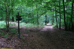 20200542_taben_rundwanderweg5_400er-88
