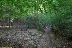 20200542_taben_rundwanderweg5_400er-89