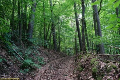 20200542_taben_rundwanderweg5_400er-91