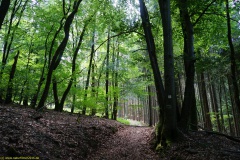 20200542_taben_rundwanderweg5_400er-93