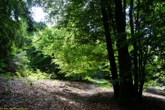 20200542_taben_rundwanderweg5_400er-96