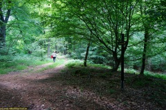 20200542_taben_rundwanderweg5_400er-99