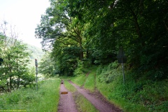 20200606_taben_rundwanderweg6_40000er-22