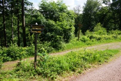20200606_taben_rundwanderweg6_40000er-24