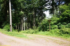 20200606_taben_rundwanderweg6_40000er-25