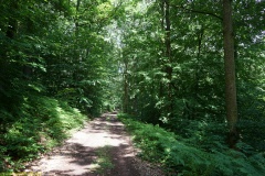 20200606_taben_rundwanderweg6_40000er-26