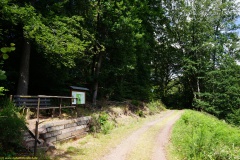 20200606_taben_rundwanderweg6_40000er-27