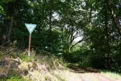 20200606_taben_rundwanderweg6_40000er-28