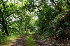 20200606_taben_rundwanderweg6_40000er-31