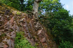 20200606_taben_rundwanderweg6_40000er-33