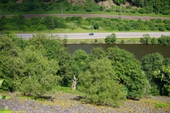 20200606_taben_rundwanderweg6_40000er-34