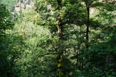 20200606_taben_rundwanderweg6_40000er-40