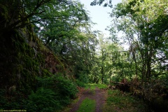 20200606_taben_rundwanderweg6_40000er-41