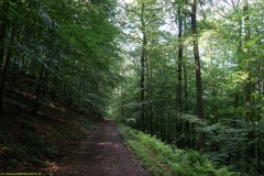 20200606_taben_rundwanderweg6_40000er-42
