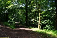 20200606_taben_rundwanderweg6_40000er-43