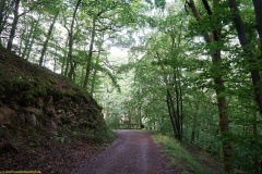 20200606_taben_rundwanderweg6_40000er-44