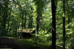 20200606_taben_rundwanderweg6_40000er-45