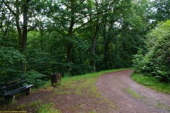 20200606_taben_rundwanderweg6_40000er-48