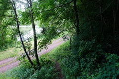 20200606_taben_rundwanderweg6_40000er-6