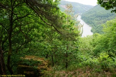 20200524_taben_rundwanderweg7_4000er_heinz-13