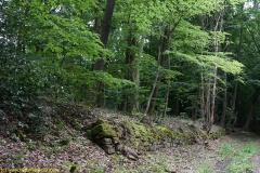 20200524_taben_rundwanderweg7_4000er_heinz-15