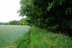 20200524_taben_rundwanderweg7_4000er_heinz-16