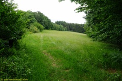 20200524_taben_rundwanderweg7_4000er_heinz-17