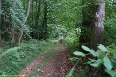 20200524_taben_rundwanderweg7_4000er_heinz-18