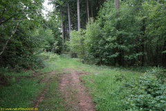 20200524_taben_rundwanderweg7_4000er_heinz-19