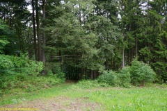 20200524_taben_rundwanderweg7_4000er_heinz-22