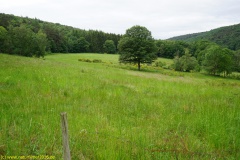 20200524_taben_rundwanderweg7_4000er_heinz-27