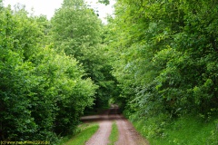 20200524_taben_rundwanderweg7_4000er_heinz-30