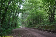 20200524_taben_rundwanderweg7_4000er_heinz-31