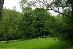 20200524_taben_rundwanderweg7_4000er_heinz-32