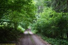 20200524_taben_rundwanderweg7_4000er_heinz-33