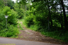 20200524_taben_rundwanderweg7_4000er_heinz-6