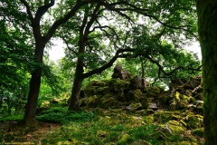 1_20200607_taben_felsenpfad_4000er-14