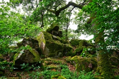 20200607_taben_felsenpfad_4000er-15