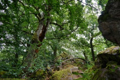 20200607_taben_felsenpfad_4000er-16